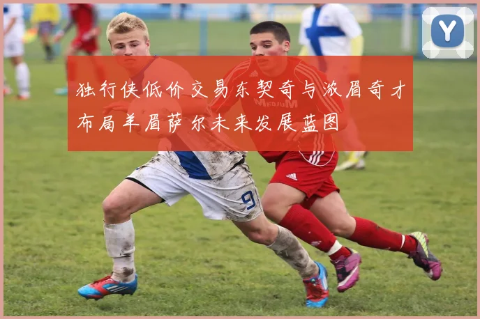 独行侠低价交易东契奇与浓眉奇才布局羊眉萨尔未来发展蓝图